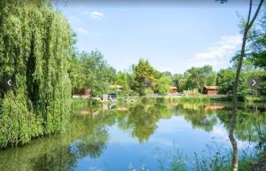 a pond in a park with trees and a sky at Chalet bois 7 Domaine Les Epinettes in Saint-Gervais