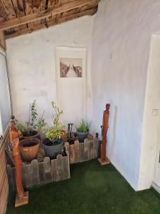 a room with potted plants and a wall at La Farigoulette in Aniane
