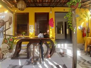 a cat sitting on a table in a room at Roses hostel e pousada in Pipa +24 photos