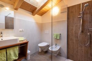 a bathroom with a shower and a toilet and a sink at Thusnelda Apartment A in Siusi +20 photos