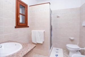 a bathroom with a toilet and a sink and a shower at mirtagru casa dell'olivastro in Agrustos