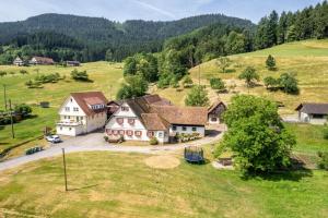 an aerial view of a house on a hill at Brujosenhof in Oppenau