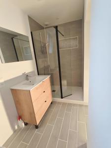 a bathroom with a sink and a shower at Chambre Écureuil in L'Ile-Bouchard