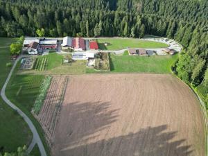 an aerial view of a farm in a field at Blockhaus Almhütte Wiesenglück in Glatten