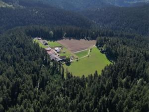 an aerial view of a farm in the middle of a forest at Blockhaus Almhütte Wiesenglück in Glatten