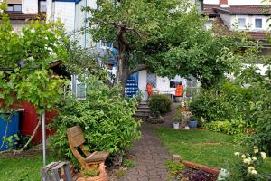a garden with a bench and trees and bushes at Ferienappartment Becker Zentrum in Lauterbach