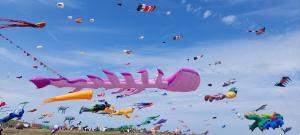 a bunch of kites flying in the sky at Meeresfeeling in Horumersiel in Horumersiel