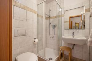 a bathroom with a shower and a toilet and a sink at Ferienwohnung Ufert in Meißen +10 photos