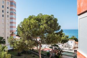 a view of a tree and the ocean from a building at Estudio Bloque 84 in Torrox