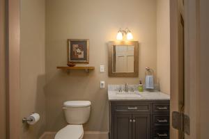 ein Badezimmer mit Toilette, Waschbecken und Spiegel in der Unterkunft Brevard Basecamp · Brevard Basecamp fireplace in Primary BR in Brevard + 14 Fotos