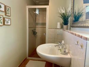 a bathroom with a sink and a shower at Ferienwohnung an der Schlei in Fleckeby +15 photos