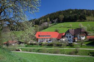 a house on top of a hill with a green field at Schätzlehof in Oberwinden