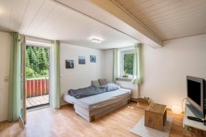 a living room with a bed and a tv at Ferienwohnung Waldblick in Freudenstadt