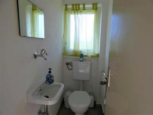 a bathroom with a white toilet and a sink at Fewo Siglinde Schneider in Freiamt +22 photos