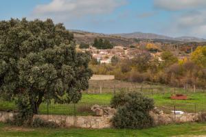 a tree in a field next to a fence at Casa La Charca in Amavida