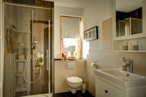 a bathroom with a shower and a toilet and a sink at Ferienwohnung Lindenhof in Dormettingen