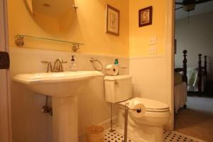 a bathroom with a sink and a toilet and a mirror at Pine Hill · Pine Hill in Sherwood Forest in Rosman +16 photos