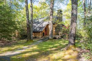 a log cabin in the woods with trees at Great Escape Cabin · Great Escape Cabin in Connestee Falls in Brevard