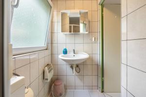 a small bathroom with a sink and a mirror at Bugalow 16 - Finnhütte in Niesky +12 photos