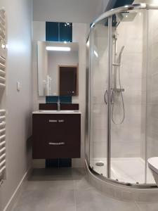 a bathroom with a shower and a sink at La Baïta De La Foux in La Foux d'Allos