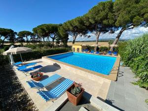 a swimming pool with chairs and an umbrella and trees at Podere Nuti - 2 Beloro in Cecina
