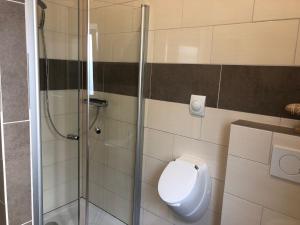 a bathroom with a toilet and a shower at Fewo Stremme in Altenlotheim