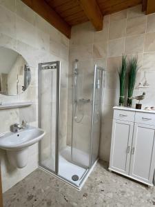 a bathroom with a shower and a sink at Uhlenhoff Boyken in Bokellerostermoor