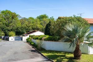 a palm tree in a yard next to a driveway at Appartement de charme - spa privé in Biarritz