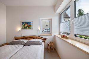 a bedroom with two beds and two windows at Alb-Sonne Ferienwohnung in Sonnenbühl