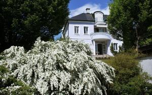 a white house with a flowering bush in front of it at Villa Karlsbach in Teisendorf