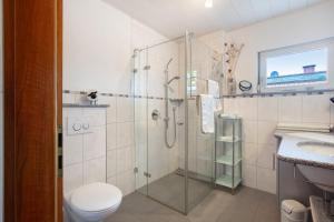 a bathroom with a shower and a toilet and a sink at Ferienhaus am Blumengässle in Feldberg +13 photos