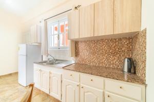 a kitchen with a sink and a refrigerator at Arianna apartment 14 in Paleokastritsa