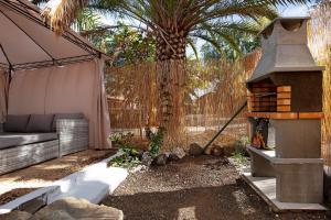 a backyard with a grill and a palm tree at Casa Alexis in Lajita