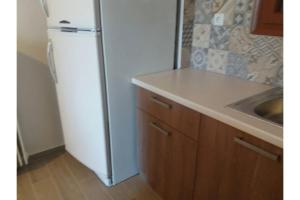 a white refrigerator in a kitchen with a sink at Μaria's house 1 in Ilia +17 photos