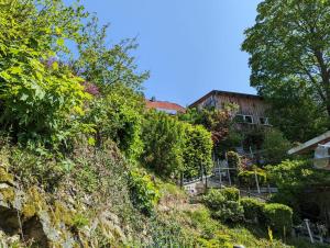 a house on the side of a hill with plants at Ferienwohung Stelldichein in Altenbrak