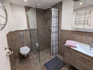 a bathroom with a shower and a toilet and a sink at Ferienwohung Stelldichein in Altenbrak