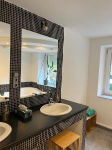 a bathroom with a sink and a mirror at Wohnung mit Dachterasse in Absberg +7 photos