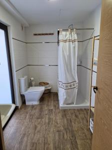 a bathroom with a toilet and a shower in it at Las Palmeras in Güimar +18 photos