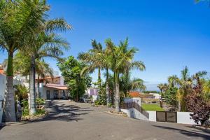 a street with palm trees in front of a house at Las Palmeras in Güimar