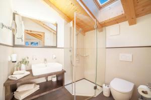 a bathroom with a shower and a toilet and a sink at Chalet de Ultimis in Ultimo +30 photos