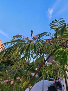a palm tree sitting on top of a sandy beach at Ferienwohnung Auszeit in Solnhofen