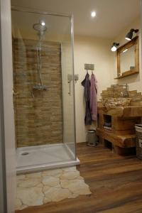 a bathroom with a shower with a glass door at Haus Auenland in Groß Felda