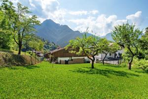 a green field with trees and mountains in the background at Monolocale Monti Pallidi in Domegge di Cadore