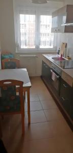 a kitchen with a table and a stove top oven at Ferienwohnung Mücheln 1 in Mücheln