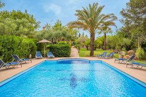 a swimming pool with chairs and palm trees at Ca na Rossa in Campanet