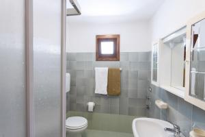 a bathroom with a toilet and a sink at Casa Rita app 4 in Tremosine Sul Garda