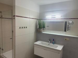 a bathroom with a sink and a shower and a mirror at Ferienwohnung Oleander in Dresden +9 photos