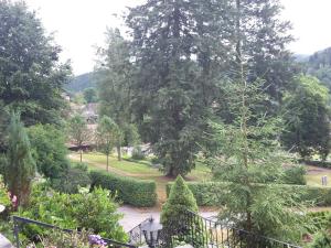 a view of a garden with trees and bushes at Haus Kurparkblick in Todtmoos +39 photos