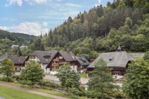 an aerial view of a resort in the mountains at Am Wehrastrand App 2 in Todtmoos