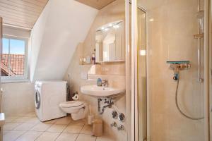 a bathroom with a toilet and a shower and a sink at Ferienwohnungen Shamal in Reutin +58 photos